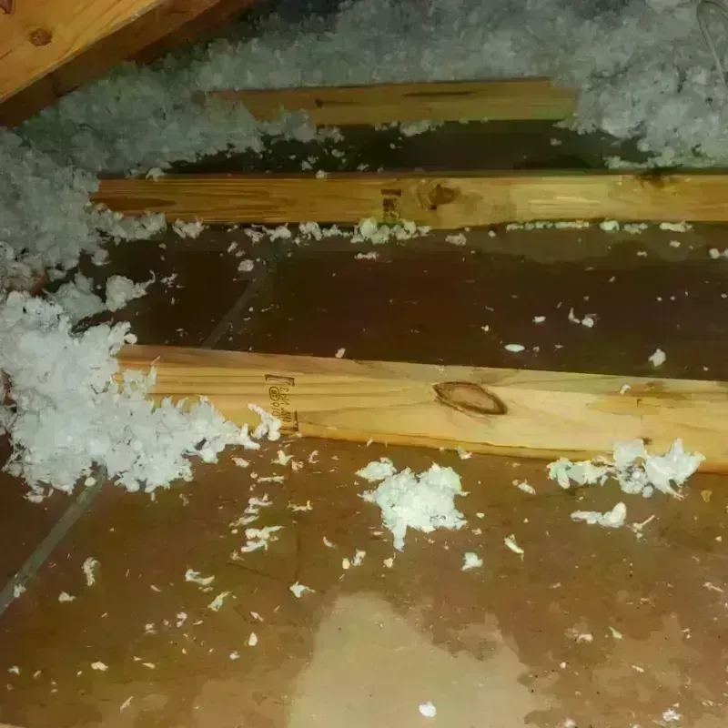 Attic Water Damage in Asbury, IA