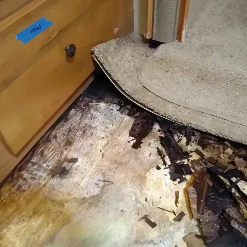 Best Wood Floor Water Damage Service in Asbury, IA